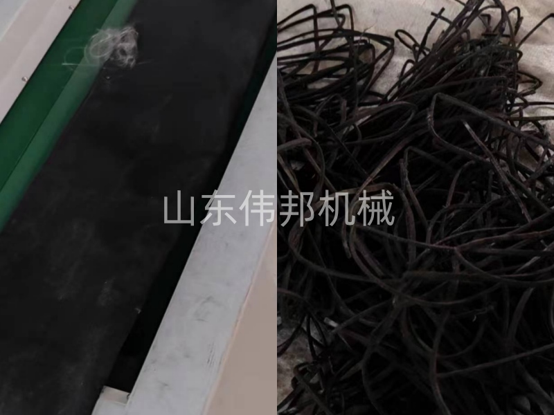 微信图片_20231121150312_副本