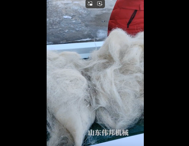 企业微信截图_20251220160840