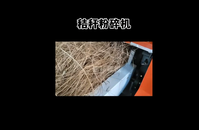 企业微信截图_20251220161329